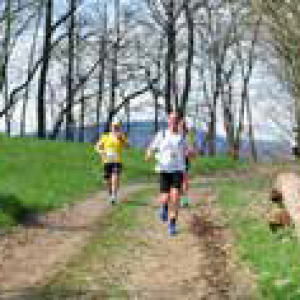 3 Berge Lauf am 06.04.2024; Dodenhausen im Kellerwald